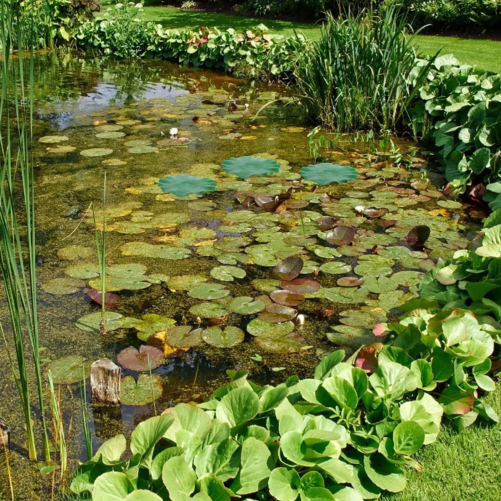 15pcs Floating Lotus Leaves For Pond Aquarium Garden Fish Tank Decoration Green Color Water Pool Floating Ornament
15pcs Floating Lotus Leaves For Pond Aquarium Garden Fish Tank Decoration Green Color Water Pool Floating Ornament