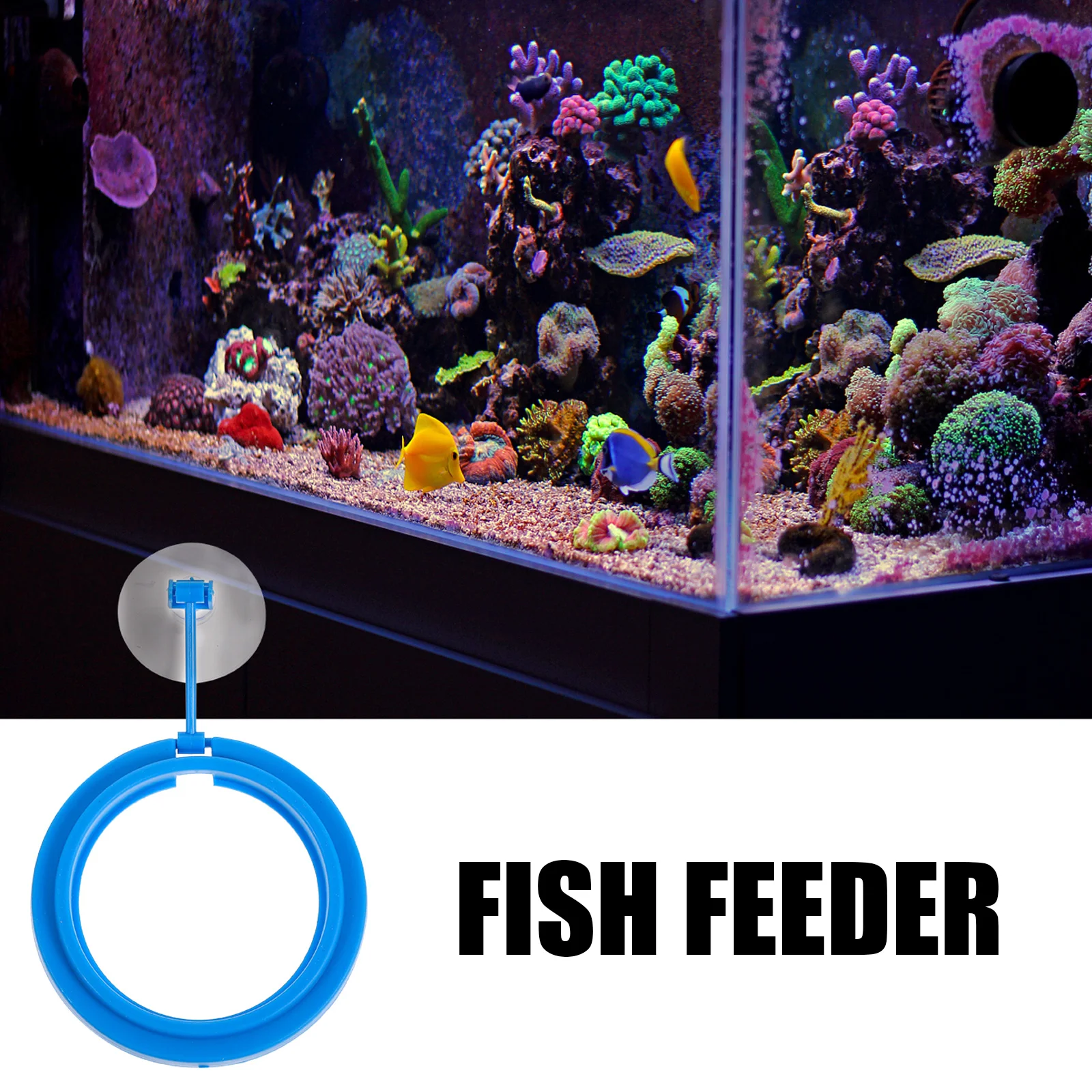 3pcs Floating Fish Food Spot Feeder Waterproof Durable Plastic Tank Accessories Blue Fish Feeding Ring Easy Clean Long Soak 
3pcs Floating Fish Food Spot Feeder Waterproof Durable Plastic Tank Accessories Blue Fish Feeding Ring Easy Clean Long Soak