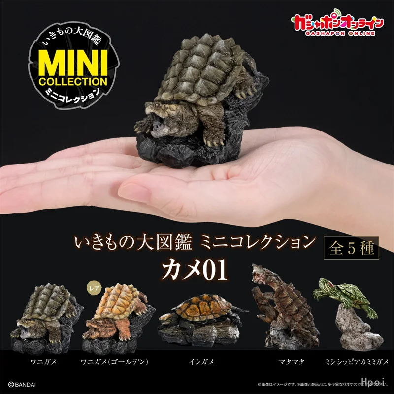 Bandai Original 5Pcs Gashapon The Diversity of Life on Earth ミニコレクション カメ01 Toys For Kids Gift Collectible Model Ornaments
Bandai Original 5Pcs Gashapon The Diversity of Life on Earth ミニコレクション カメ01 Toys For Kids Gift Collectible Model Ornaments