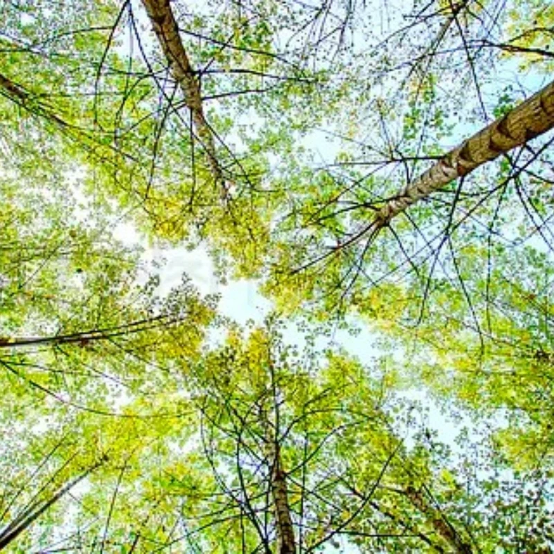 GEPRC GEP-F405-HD V2 STM32F405 Flight Controller Type-C USB 3-6S LiPo 5-9V BEC 7.7g for FPV Freestyle Quadcopter DIY Parts
GEPRC GEP-F405-HD V2 STM32F405 Flight Controller Type-C USB 3-6S LiPo 5-9V BEC 7.7g for FPV Freestyle Quadcopter DIY Parts