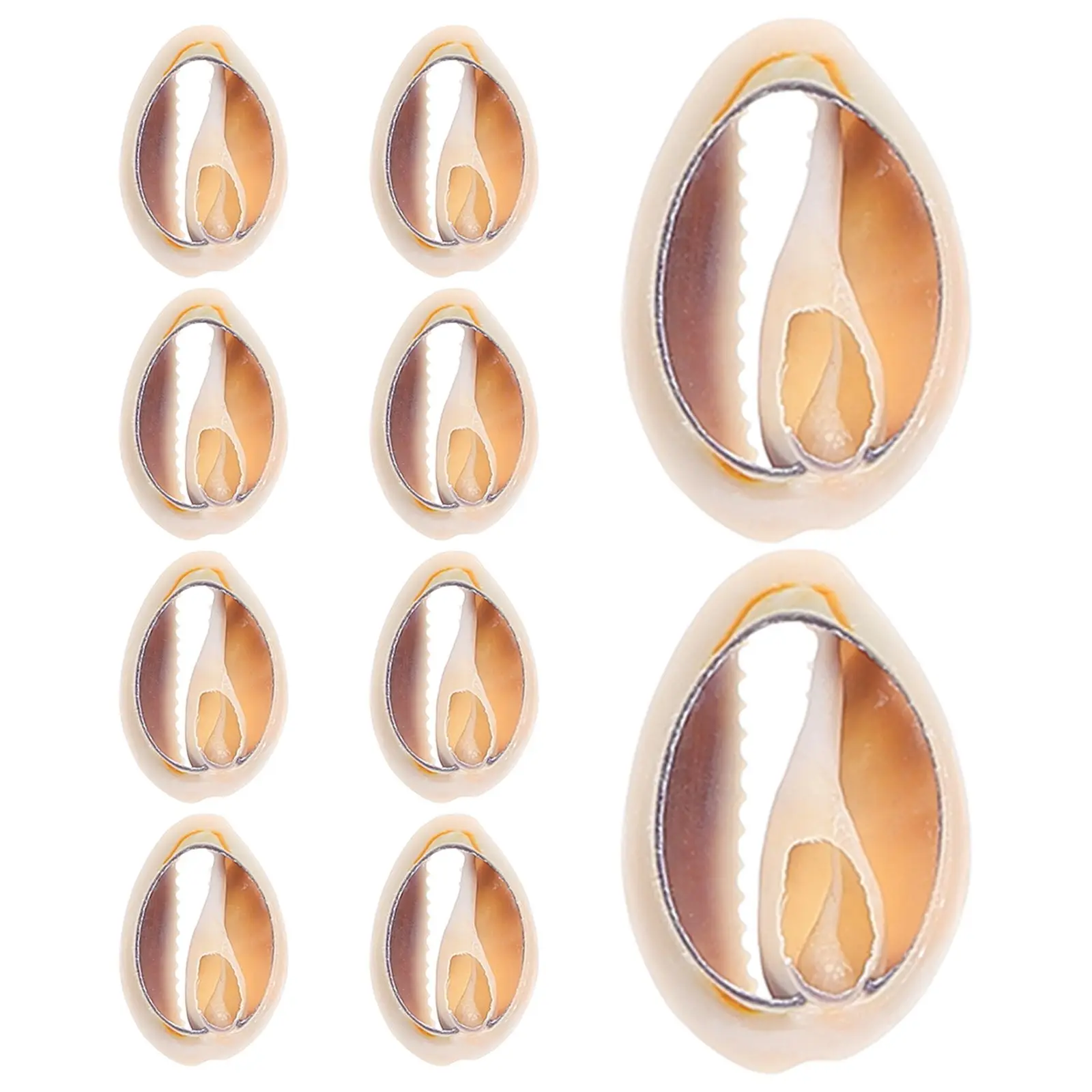 10 Pcs Natural Seashell Beads for DIY Jewelry Making Handmade Crafts Tiny Shells Sea Beads Small Seashells Hanging Shell Decor
10 Pcs Natural Seashell Beads for DIY Jewelry Making Handmade Crafts Tiny Shells Sea Beads Small Seashells Hanging Shell Decor