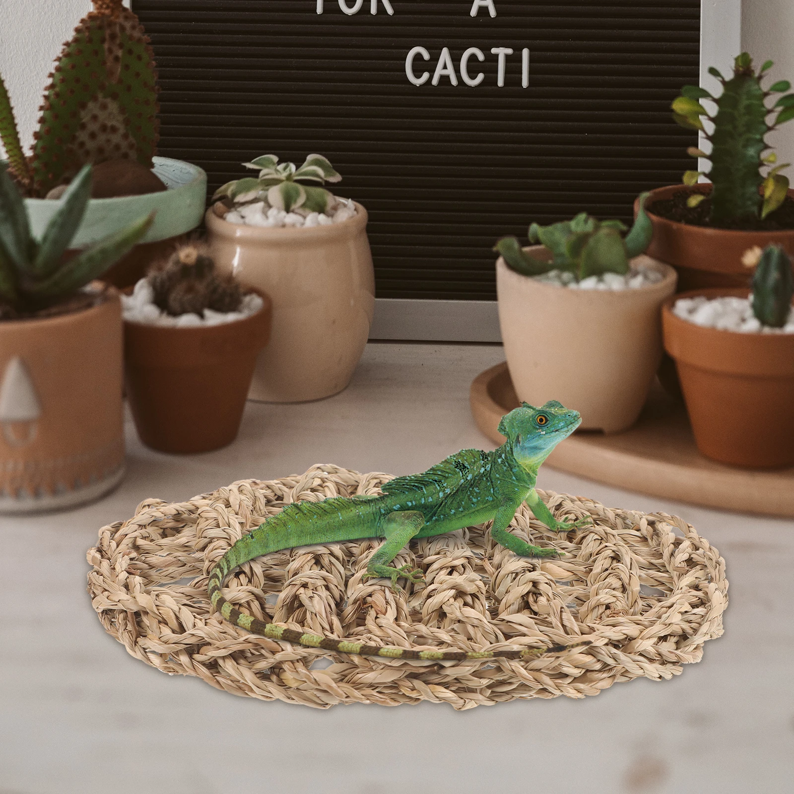 Straw Reptile Woven Mat Crawling Accessories for Lizard Snake Pet Cage Climbing Grass Pad Durable Removable Washable Easy Clean
Straw Reptile Woven Mat Crawling Accessories for Lizard Snake Pet Cage Climbing Grass Pad Durable Removable Washable Easy Clean