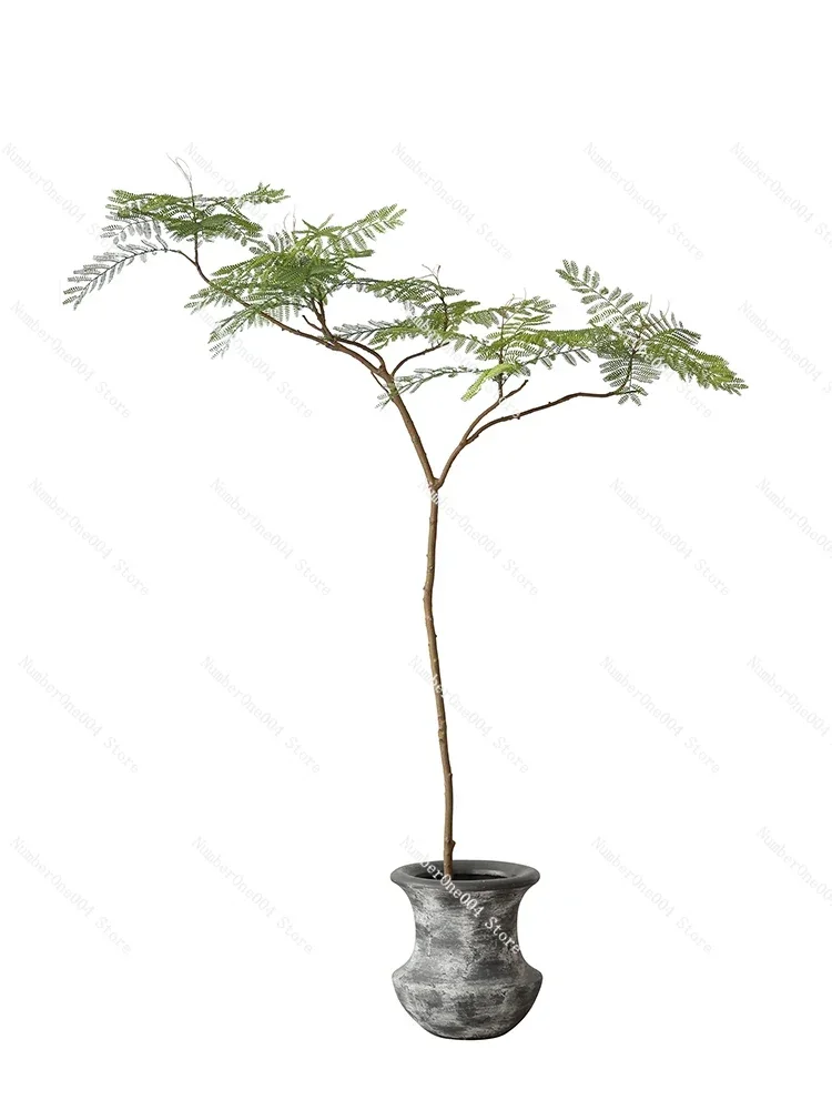 Wabi-sabi wind, high simulation green plants, jacaranda net red, landing homestay, living room, zen potted landscaping, fake tre
Wabi-sabi wind, high simulation green plants, jacaranda net red, landing homestay, living room, zen potted landscaping, fake tre