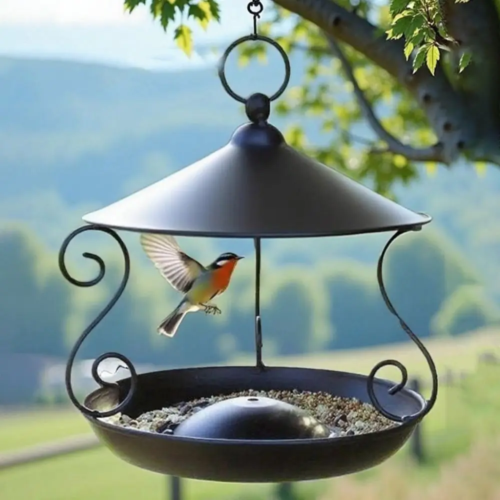 Garden Decor Iron Bird Feeder Rainproof Windproof Bird Food Dispenser Multi-purpose Hanging Bird Water Bowl Courtyard
Garden Decor Iron Bird Feeder Rainproof Windproof Bird Food Dispenser Multi-purpose Hanging Bird Water Bowl Courtyard