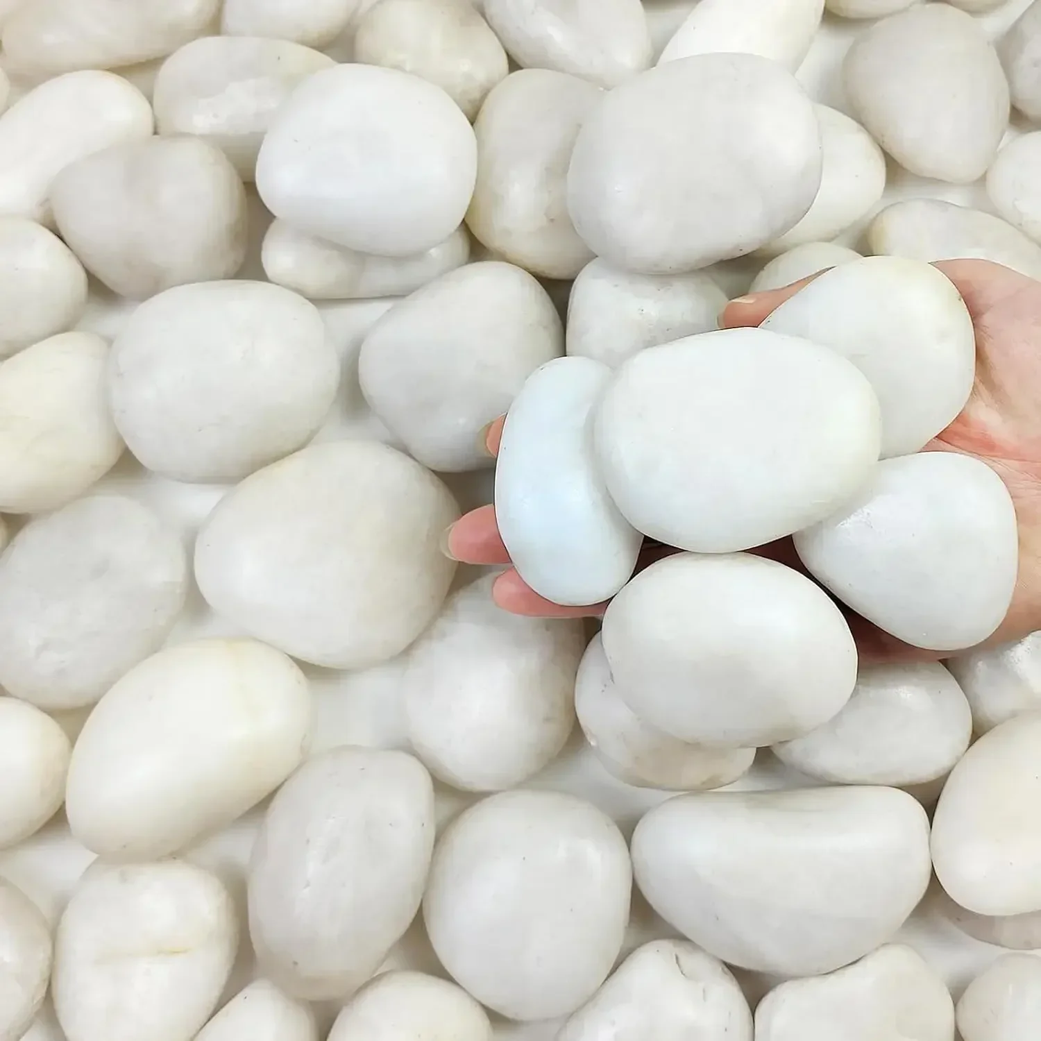 40 lbs White River Rocks for Landscaping, 2-3 Inch Polished Pebbles for Indoor Plants, Decorative White Stones for Planters, Vas
40 lbs White River Rocks for Landscaping, 2-3 Inch Polished Pebbles for Indoor Plants, Decorative White Stones for Planters, Vas
