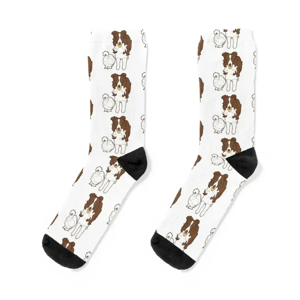 Copy of Australian Shepherd blue Merle with pig Socks sports stockings Stockings man Women Socks Men's
Copy of Australian Shepherd blue Merle with pig Socks sports stockings Stockings man Women Socks Men's