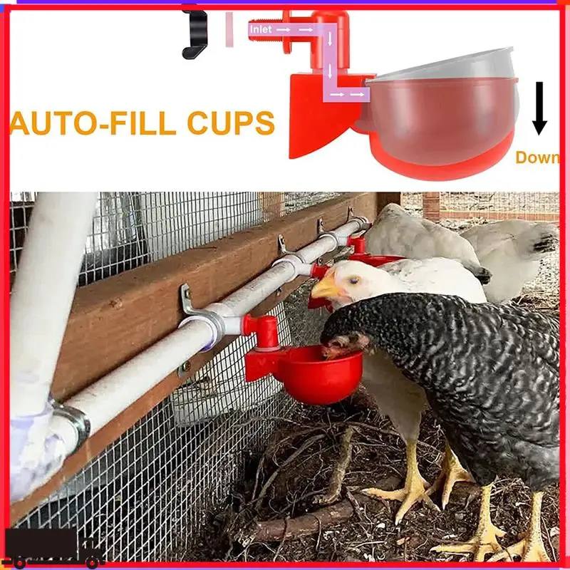 12 Chicken Water Cups And 12 Chicken Waterer Nipples With Drill Bit Replacement Automatic Filling Poultry Drinking Bowl
12 Chicken Water Cups And 12 Chicken Waterer Nipples With Drill Bit Replacement Automatic Filling Poultry Drinking Bowl