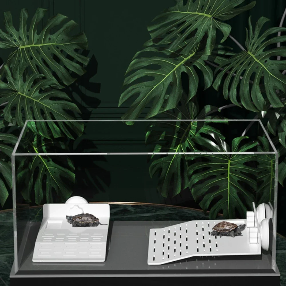 Turtle Climb Shelf Water Turtle Floating Island Platform Decoration Basking Platform Crawler Sun Roof Terrace Floating Island
Turtle Climb Shelf Water Turtle Floating Island Platform Decoration Basking Platform Crawler Sun Roof Terrace Floating Island