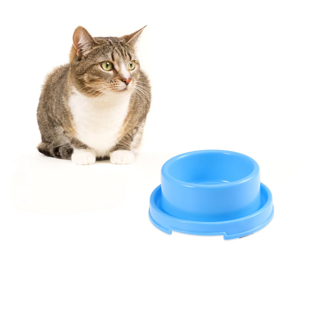Pet Food Bowls Dog Cat Feeding Bowls Anti Ant Plastic Smooth Water Resistant Wear Resistant Suitable Kittens
Pet Food Bowls Dog Cat Feeding Bowls Anti Ant Plastic Smooth Water Resistant Wear Resistant Suitable Kittens