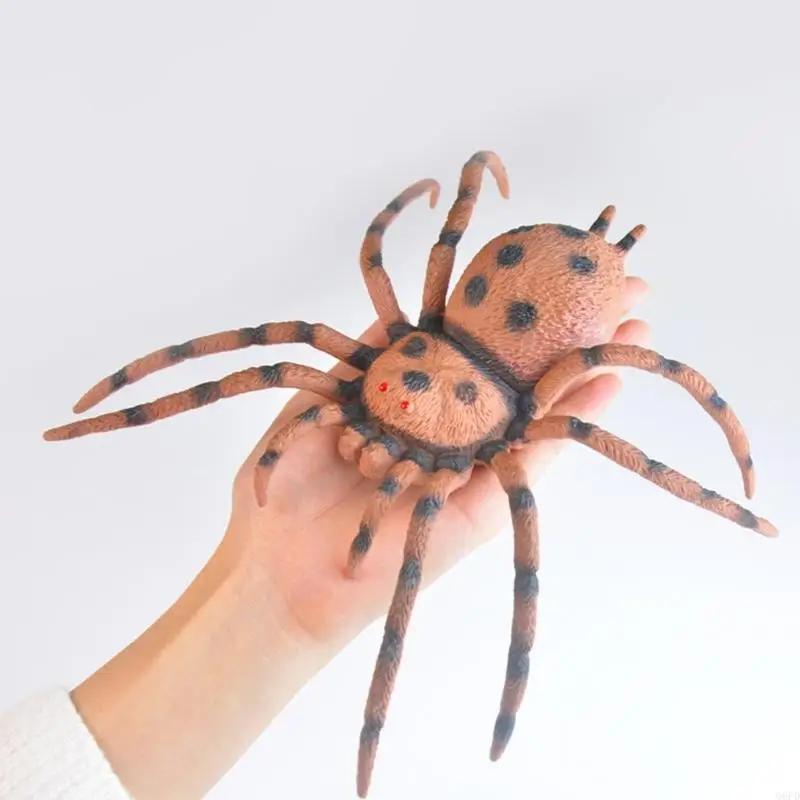 Simulation Insect Model Figure Children Science Fair Project Interaction Toy 3PC
Simulation Insect Model Figure Children Science Fair Project Interaction Toy 3PC