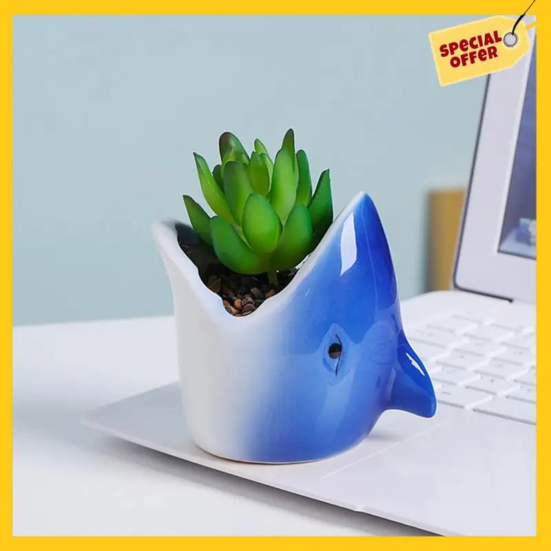 Abcymarine Animal Flower Pots Blue Starfish Sharks Small Flower Pot Desktop Glaze Flower Pot
Abcymarine Animal Flower Pots Blue Starfish Sharks Small Flower Pot Desktop Glaze Flower Pot