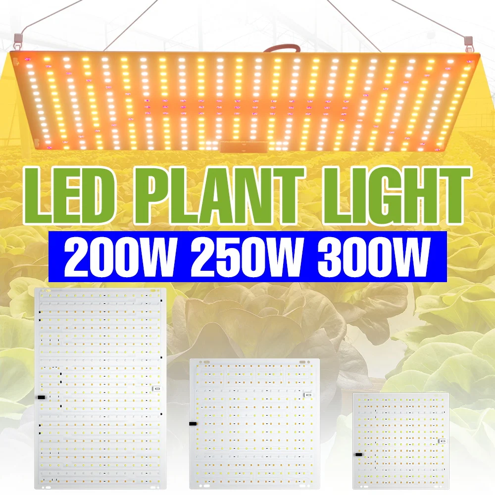 300W LED Grow Lamp 100-277V Full Spectrum Quantum Board Indoor Plant Cultivation Lamps Greenhouse Tent Vegetables Fill Lighting
300W LED Grow Lamp 100-277V Full Spectrum Quantum Board Indoor Plant Cultivation Lamps Greenhouse Tent Vegetables Fill Lighting