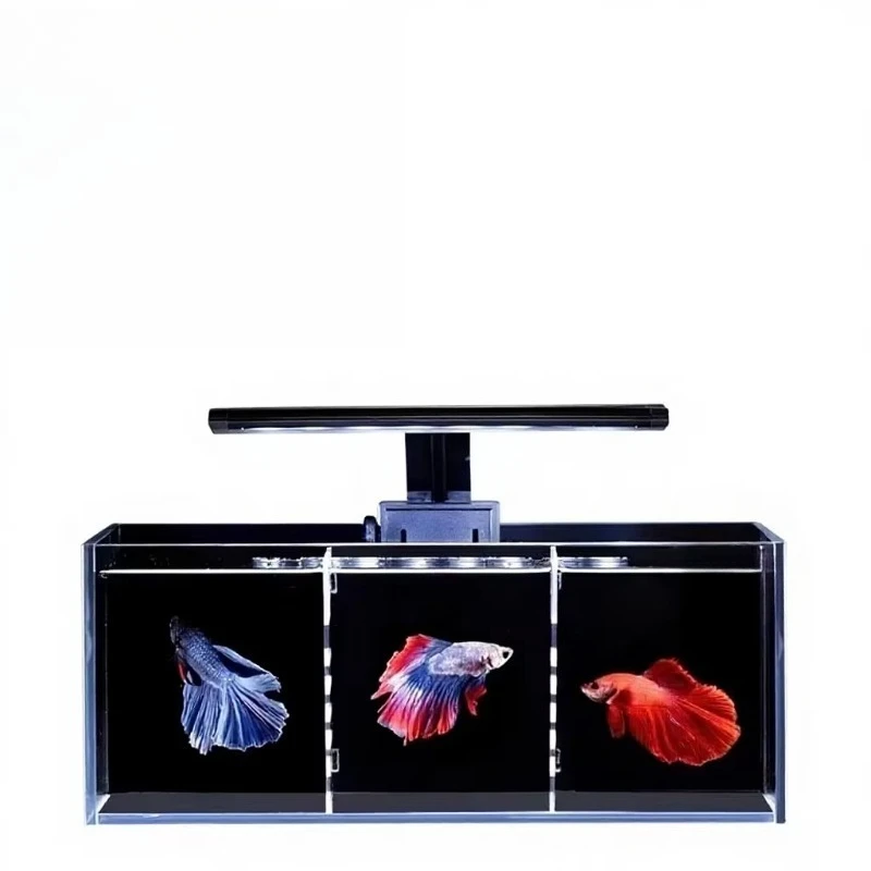 Clear Betta Tank, Multi-Divider, Silent Filtration, No Water Change Desktop Ecological Aquarium for Bedroom
Clear Betta Tank, Multi-Divider, Silent Filtration, No Water Change Desktop Ecological Aquarium for Bedroom