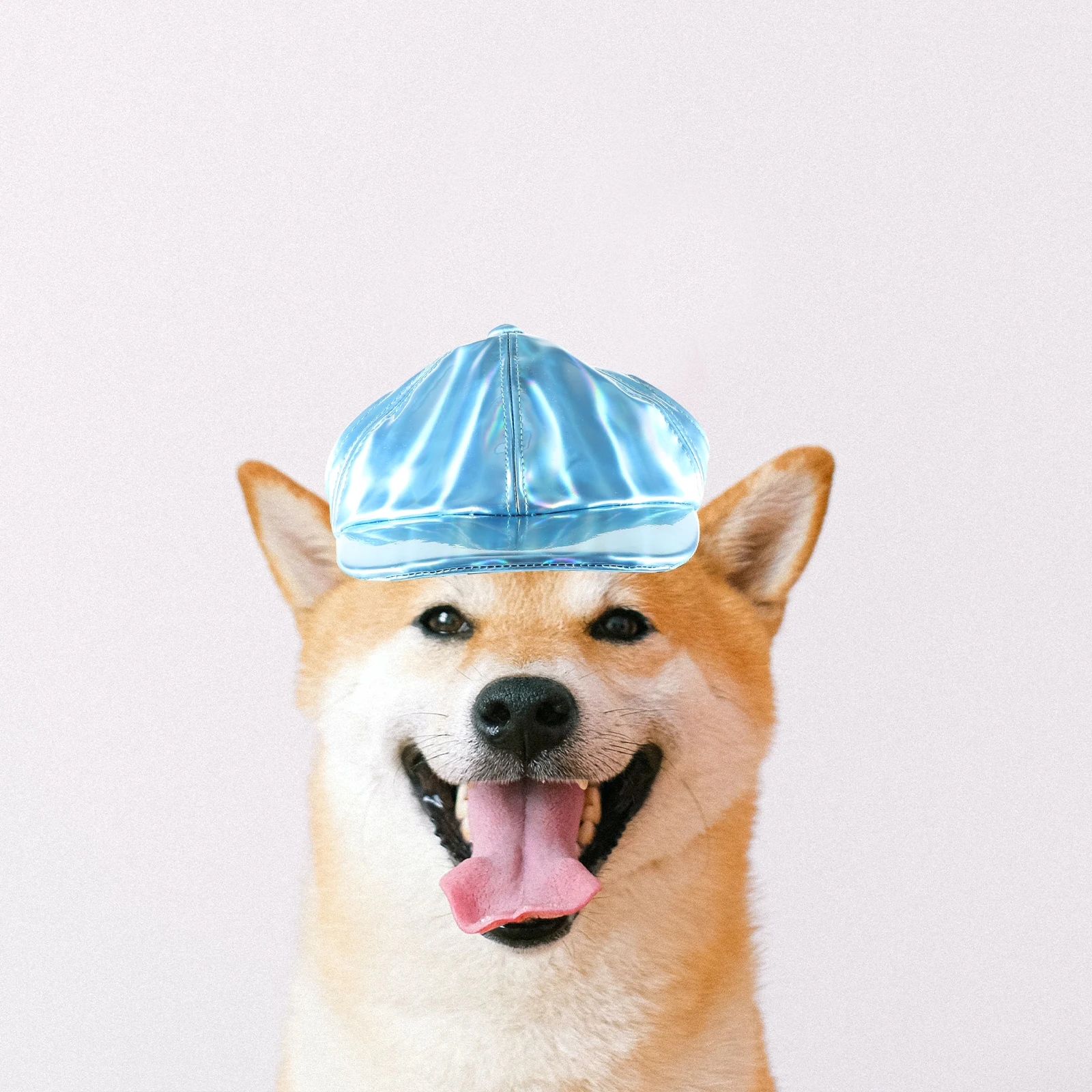 Dog Cap Hat Travel -shading Spring and Summer Cool Pet Baseball Pu Puppy Headwear
Dog Cap Hat Travel -shading Spring and Summer Cool Pet Baseball Pu Puppy Headwear