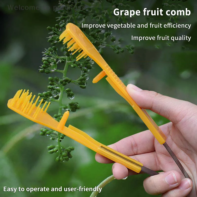 High-Quality Handheld Thinning Shears for Grape Flowers, Farm Gardening & Fruit Pruning Clip
High-Quality Handheld Thinning Shears for Grape Flowers, Farm Gardening & Fruit Pruning Clip