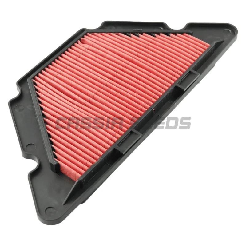 Motorcycle intake filter for Yamaha FZ6-RY FZ6RY FZ6R XJ6F XJ6FA XJ6N XJ6NA XJ6S XJ6SA 2009-2013
Motorcycle intake filter for Yamaha FZ6-RY FZ6RY FZ6R XJ6F XJ6FA XJ6N XJ6NA XJ6S XJ6SA 2009-2013