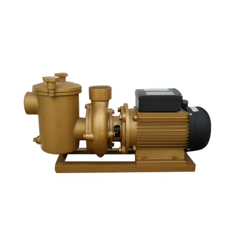 Copper pump swimming pool water treatment equipment water pump, water park large filter pump high temperature resistant
Copper pump swimming pool water treatment equipment water pump, water park large filter pump high temperature resistant