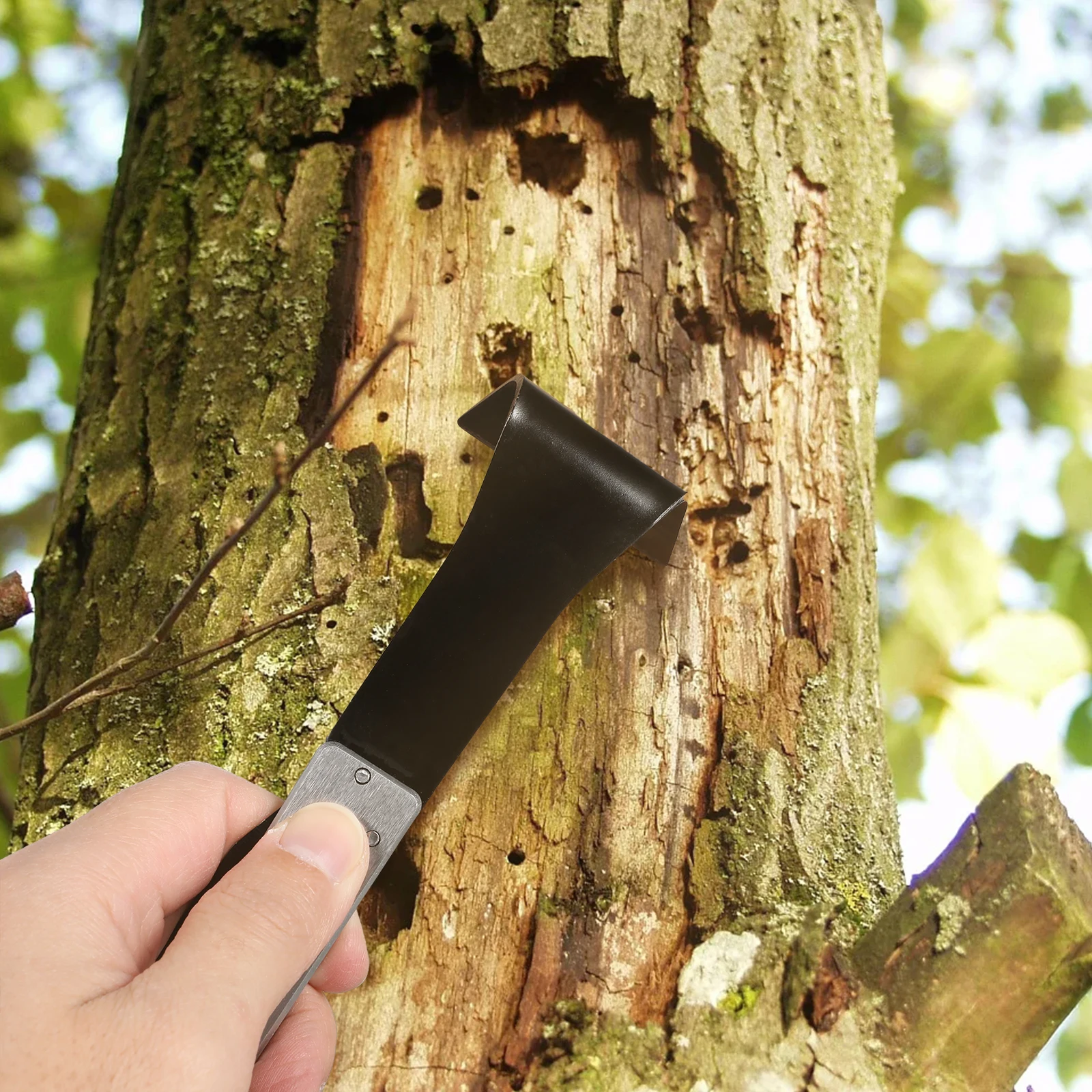 Bark Scraper Stainless Steel Tree Bark Gardening Tool Peel Shave Stripper Remover Manual Pruning Work Lightweight Handle
Bark Scraper Stainless Steel Tree Bark Gardening Tool Peel Shave Stripper Remover Manual Pruning Work Lightweight Handle