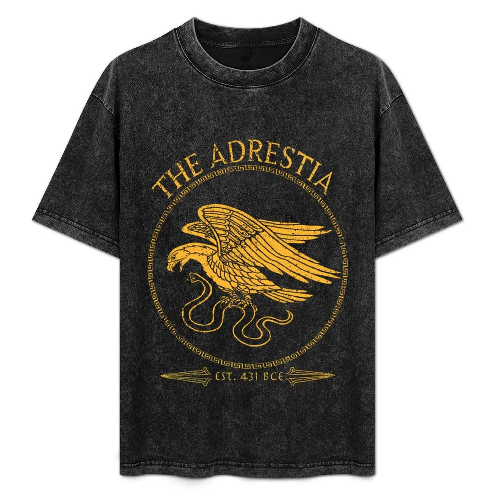 The Adrestia (gold variant) T-Shirt Quick Dry Training Short Sleeve Tee
The Adrestia (gold variant) T-Shirt Quick Dry Training Short Sleeve Tee
