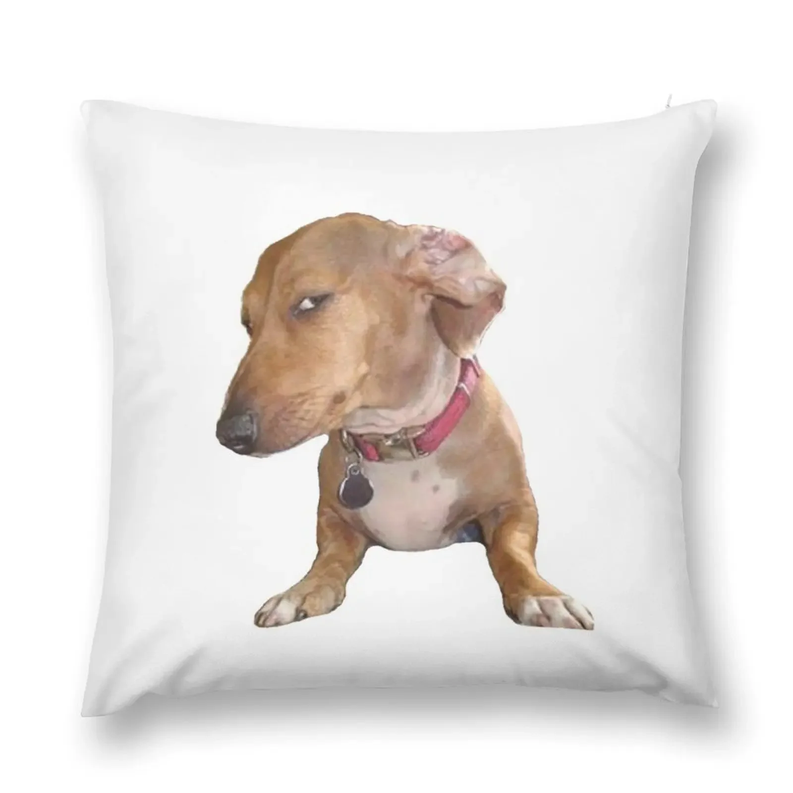 Sus dog meme Throw Pillow Christmas Pillows Custom Cushion Luxury Pillow Case pillow
Sus dog meme Throw Pillow Christmas Pillows Custom Cushion Luxury Pillow Case pillow
