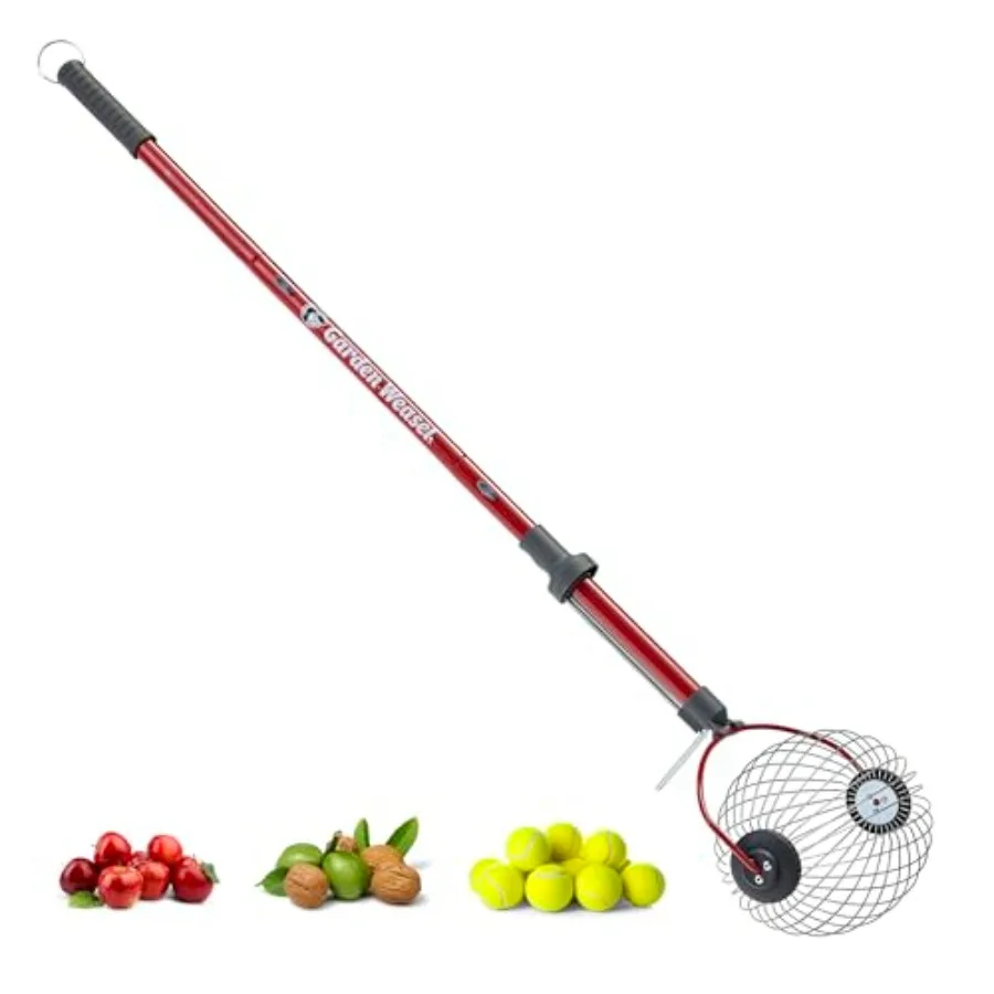 GARDEN WEASEL Large Nut Gatherer Roller for walnuts, tennis balls durable steel cage, black finish, ergonomic handle, yard clea
GARDEN WEASEL Large Nut Gatherer Roller for walnuts, tennis balls durable steel cage, black finish, ergonomic handle, yard clea