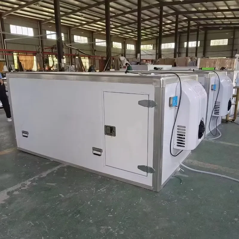 Customized Refrigerate Box Refeer 2.1m*1.2m*1.2m 0-10 Degree 1PH 110V 50HZ With 12V Unit Built in Battery With Charger
Customized Refrigerate Box Refeer 2.1m*1.2m*1.2m 0-10 Degree 1PH 110V 50HZ With 12V Unit Built in Battery With Charger