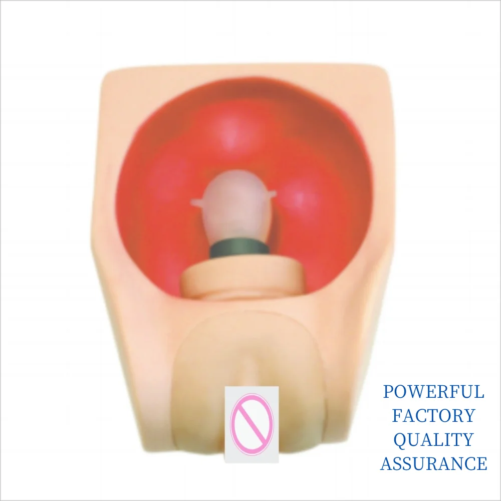 Advanced Female Contraception Practice Model Skill Operation Exercise Training Simulator Medical Supplies Educational Material
Advanced Female Contraception Practice Model Skill Operation Exercise Training Simulator Medical Supplies Educational Material