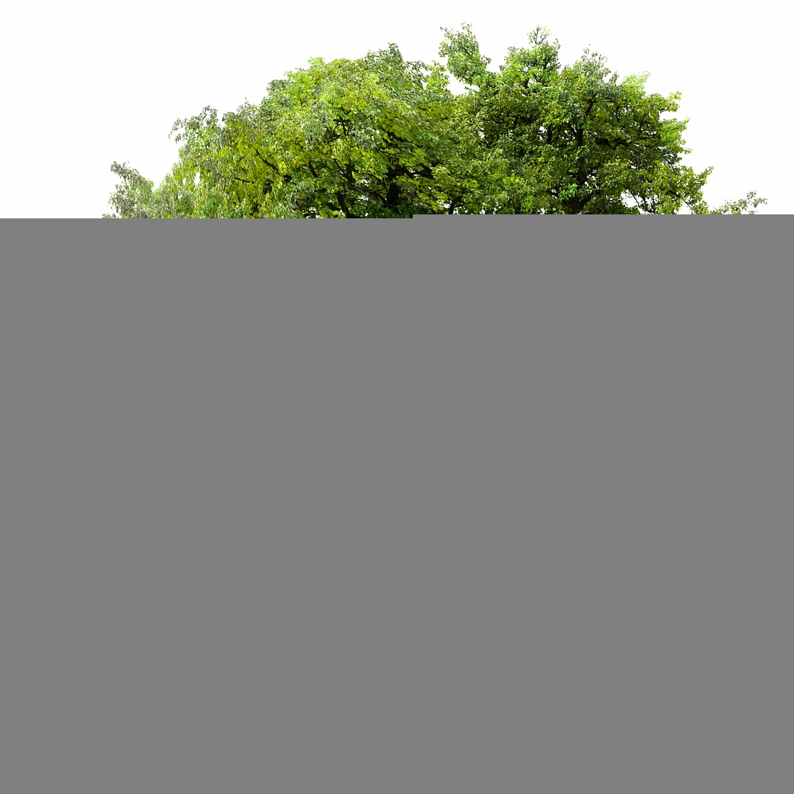 20pcs Weeding Cloth Non-Woven Gardening Biodegradable Control Fabric Ground Cover Agriculture Orchard Weeding Cloth (Black,
20pcs Weeding Cloth Non-Woven Gardening Biodegradable Control Fabric Ground Cover Agriculture Orchard Weeding Cloth (Black,