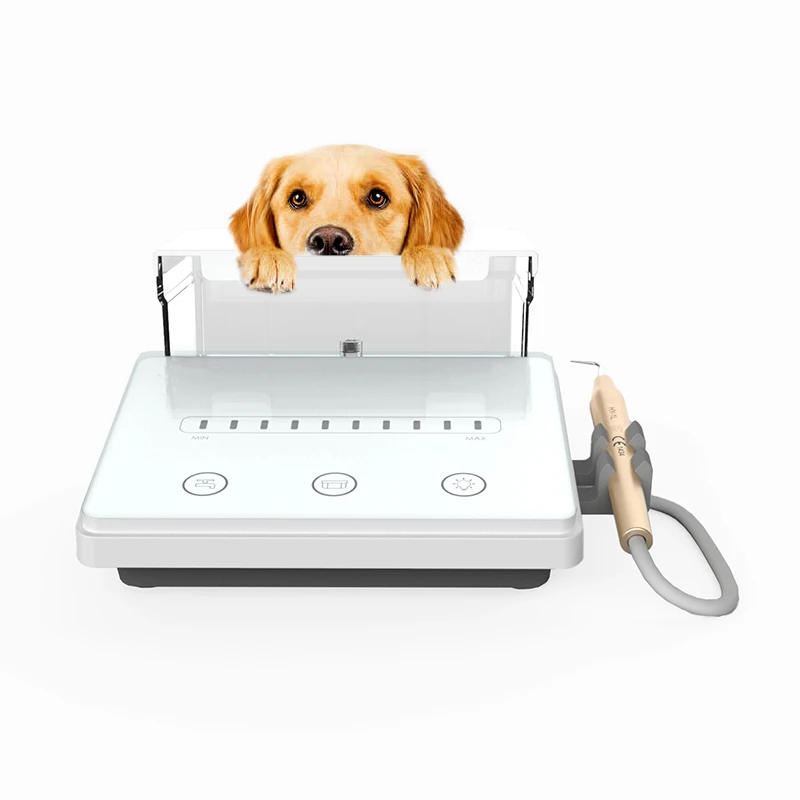 Wholesale Painless Veterinary Dental Equipment Teeth Scaler Ultrasonic Dental Ultrasonic Scaler Machine for Veterinary Hospital
Wholesale Painless Veterinary Dental Equipment Teeth Scaler Ultrasonic Dental Ultrasonic Scaler Machine for Veterinary Hospital