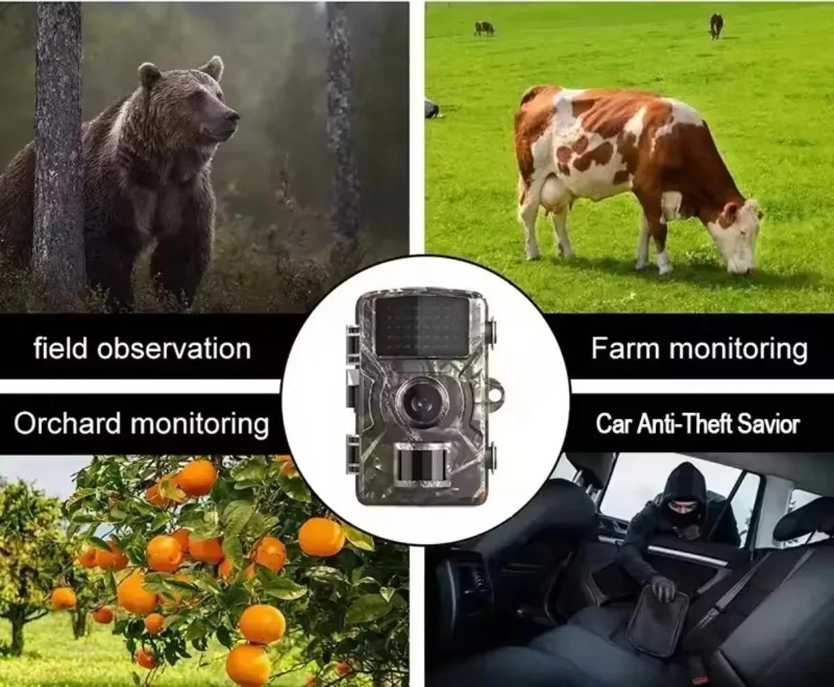 Камера для охоты и наблюдения за дикой природой, инфракрасная камера ночного видения для ферм, садов и наружного мониторинга
Камера для охоты и наблюдения за дикой природой, инфракрасная камера ночного видения для ферм, садов и наружного мониторинга