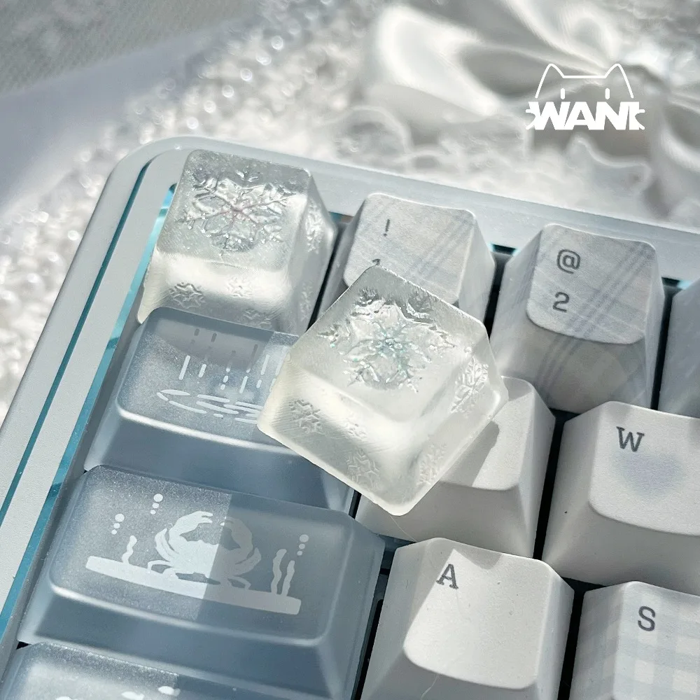 Translucent Snowflake Keycaps Customized Resin Personalized Backlit DIY Decorative Keycaps ESC Single for Keyboard Accessories
Translucent Snowflake Keycaps Customized Resin Personalized Backlit DIY Decorative Keycaps ESC Single for Keyboard Accessories