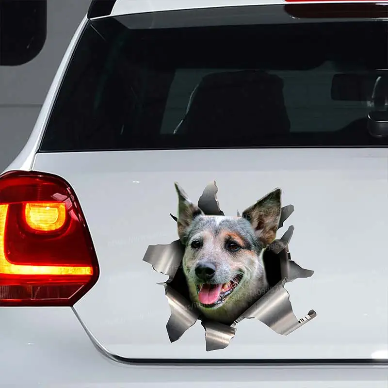 Australian Cattle Dog Car Sticker Car Window Decorative Sticker Waterproof Vinyl Decal Animal For Car Accessories Stickers SH19
Australian Cattle Dog Car Sticker Car Window Decorative Sticker Waterproof Vinyl Decal Animal For Car Accessories Stickers SH19