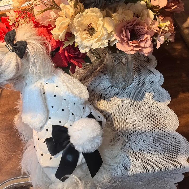 Fashion Simple Black White Dot Pet Dog Clothes 2025 Winter Soft Cotton Plush Warm Coats For Small Medium Dog Puppy Coat Outfits 
Fashion Simple Black White Dot Pet Dog Clothes 2025 Winter Soft Cotton Plush Warm Coats For Small Medium Dog Puppy Coat Outfits