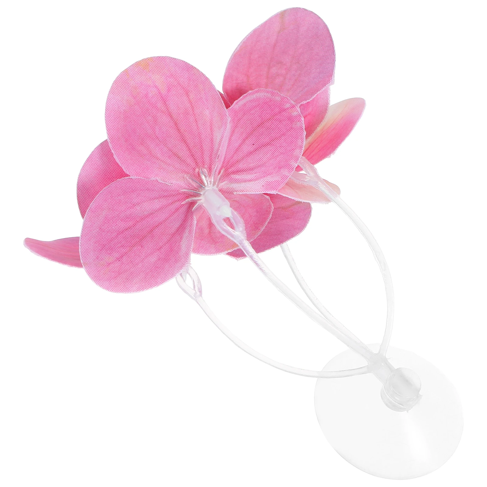 Simulated Water Grass Decoration High Realism Durable Abs Material Easy Clean Aquarium Plants Plastic Fish Tank naments Cute
Simulated Water Grass Decoration High Realism Durable Abs Material Easy Clean Aquarium Plants Plastic Fish Tank naments Cute