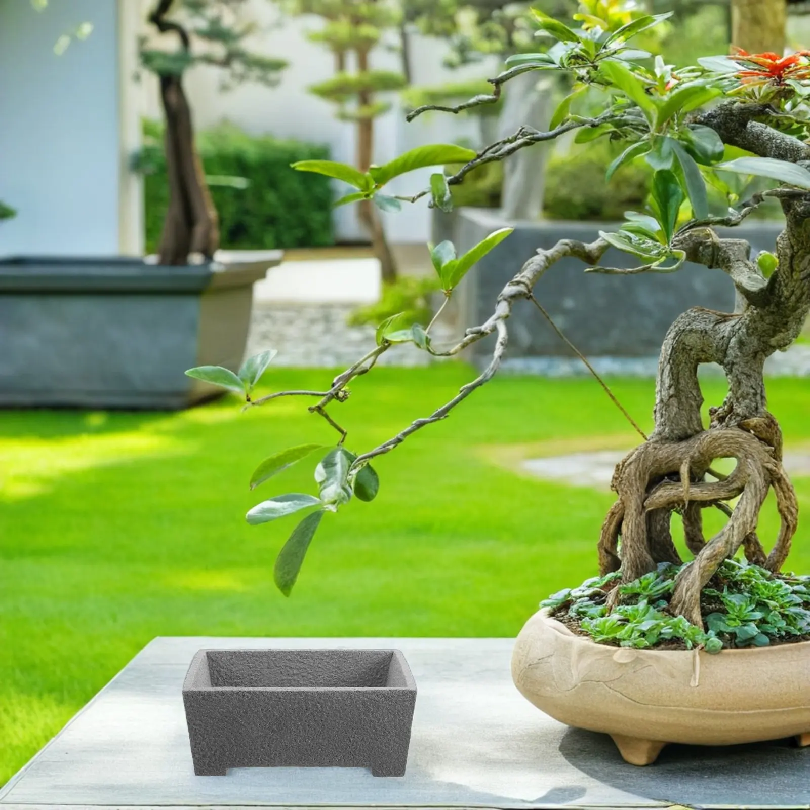 Stone Flower Pot Rectangle Succulent Cactus Planter Window Box Multi-Functional Table Decoration Home Office Garden Container
Stone Flower Pot Rectangle Succulent Cactus Planter Window Box Multi-Functional Table Decoration Home Office Garden Container