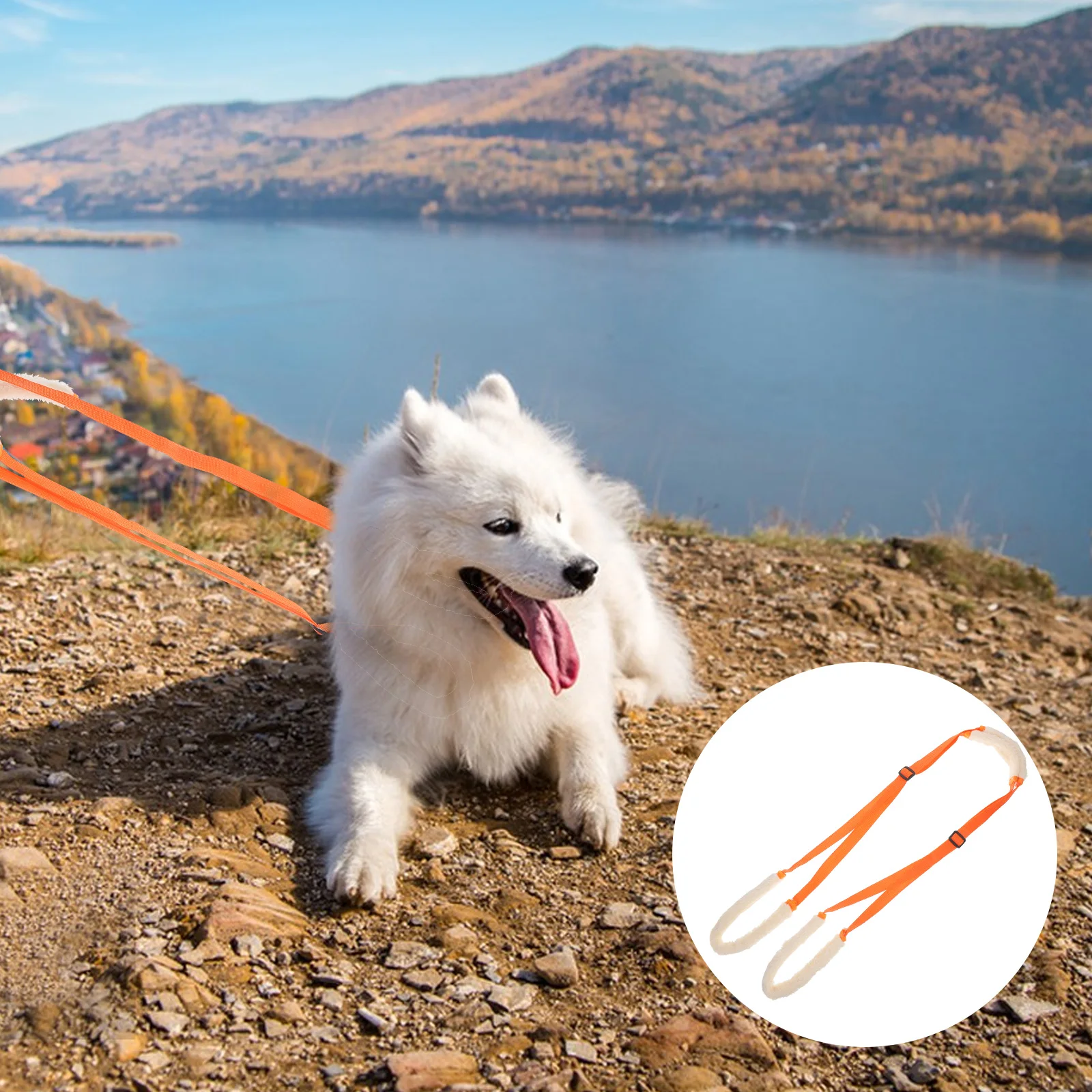 Portable Dog Support Harness Sling ange Adjustable Training Belt Small Medium Disabled Pet Lifter Carrier Hip Brace Walking Aid
Portable Dog Support Harness Sling ange Adjustable Training Belt Small Medium Disabled Pet Lifter Carrier Hip Brace Walking Aid
