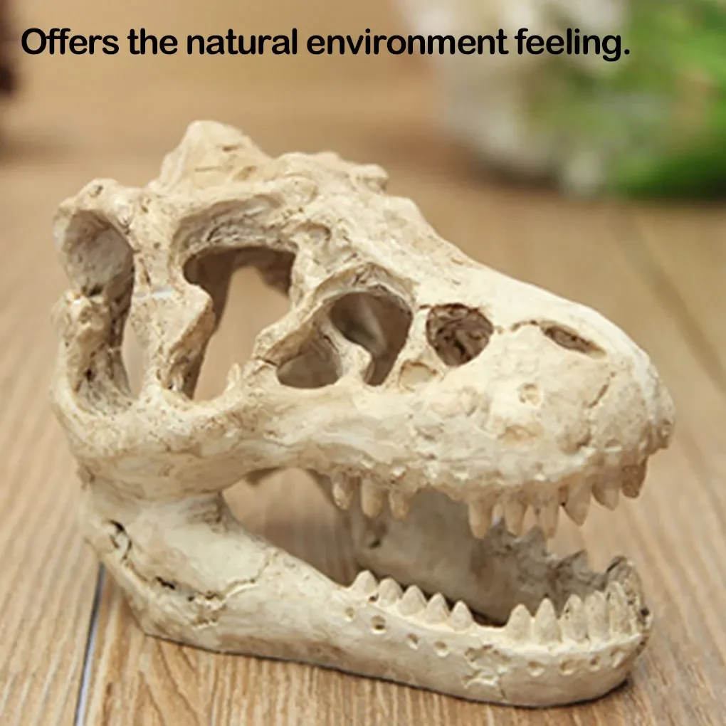 Axesorios de pesceras Aquirium decoration Fish tank accesories anime Fish accessories aquarium Fish tank mushroom Spiderwood
Axesorios de pesceras Aquirium decoration Fish tank accesories anime Fish accessories aquarium Fish tank mushroom Spiderwood