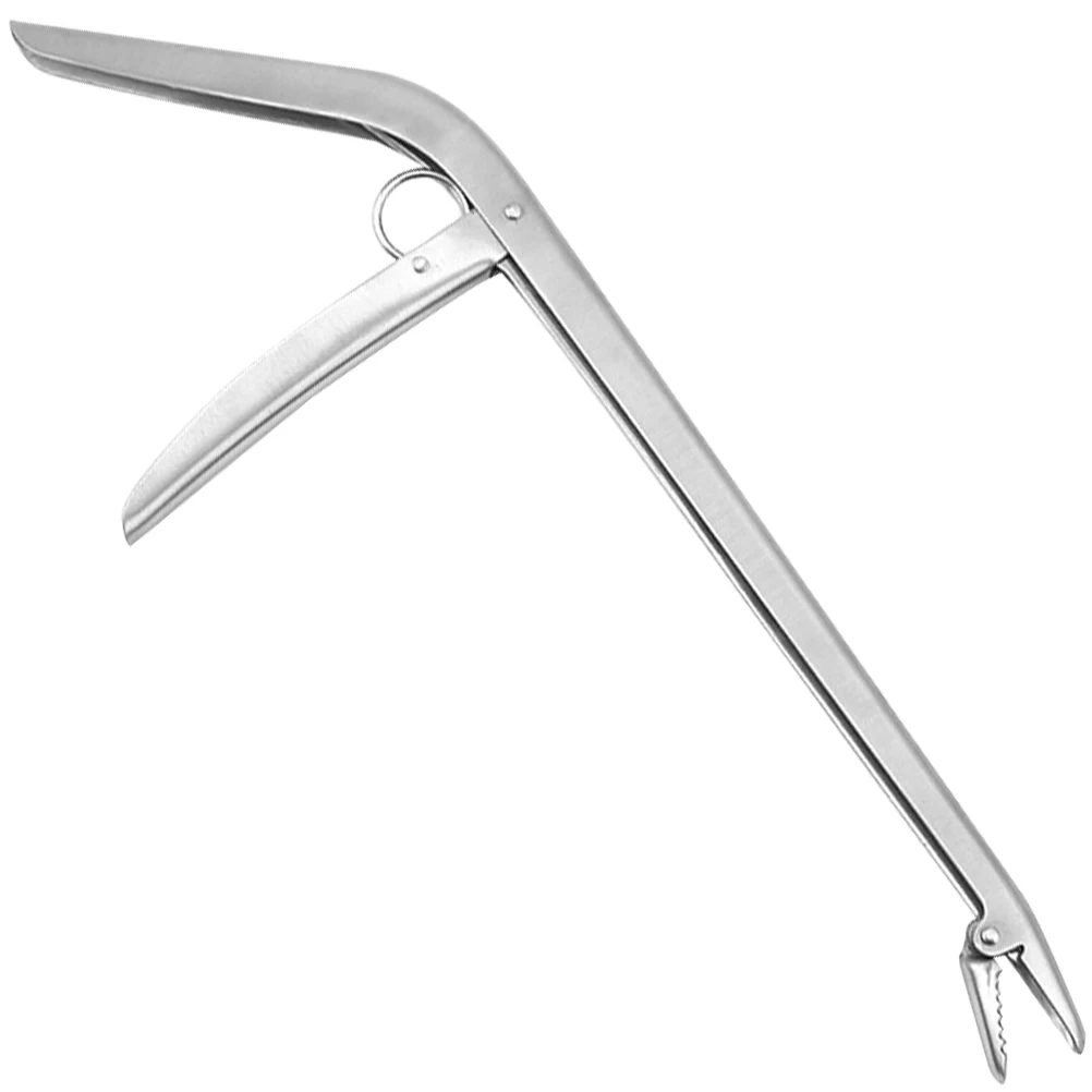 Stainless Steel Fish Hook Remover Durable Anti Corrosion Carp Fishing Equipment Extractor Tool For Saltwater Freshwater
Stainless Steel Fish Hook Remover Durable Anti Corrosion Carp Fishing Equipment Extractor Tool For Saltwater Freshwater
