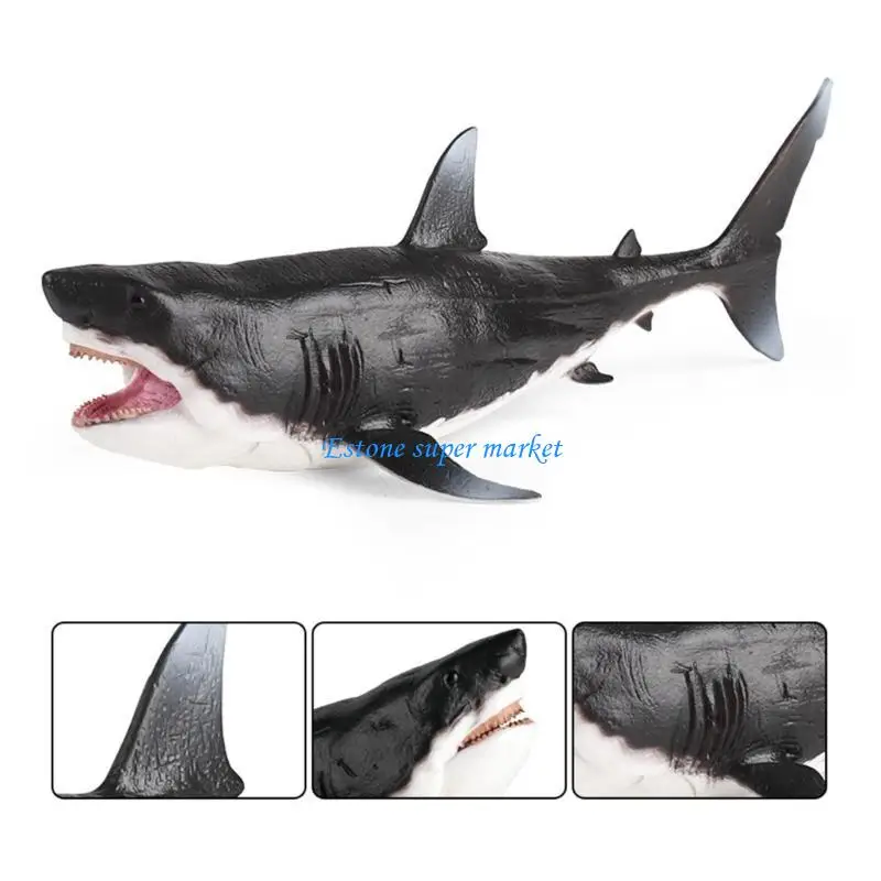090B Cool Megalodon Figure Exquisite Statue Megalodon Imaginative Play Photo Props
090B Cool Megalodon Figure Exquisite Statue Megalodon Imaginative Play Photo Props
