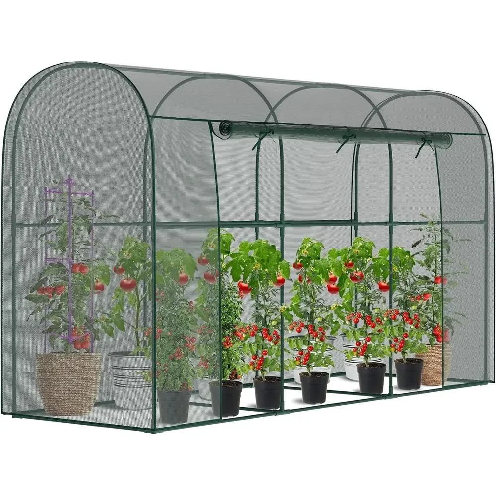 9.8x3.3x6 ft Wind-Resistant Garden Plant Cover with Zippered Door for Raised Beds and Vegetable Protection
9.8x3.3x6 ft Wind-Resistant Garden Plant Cover with Zippered Door for Raised Beds and Vegetable Protection
