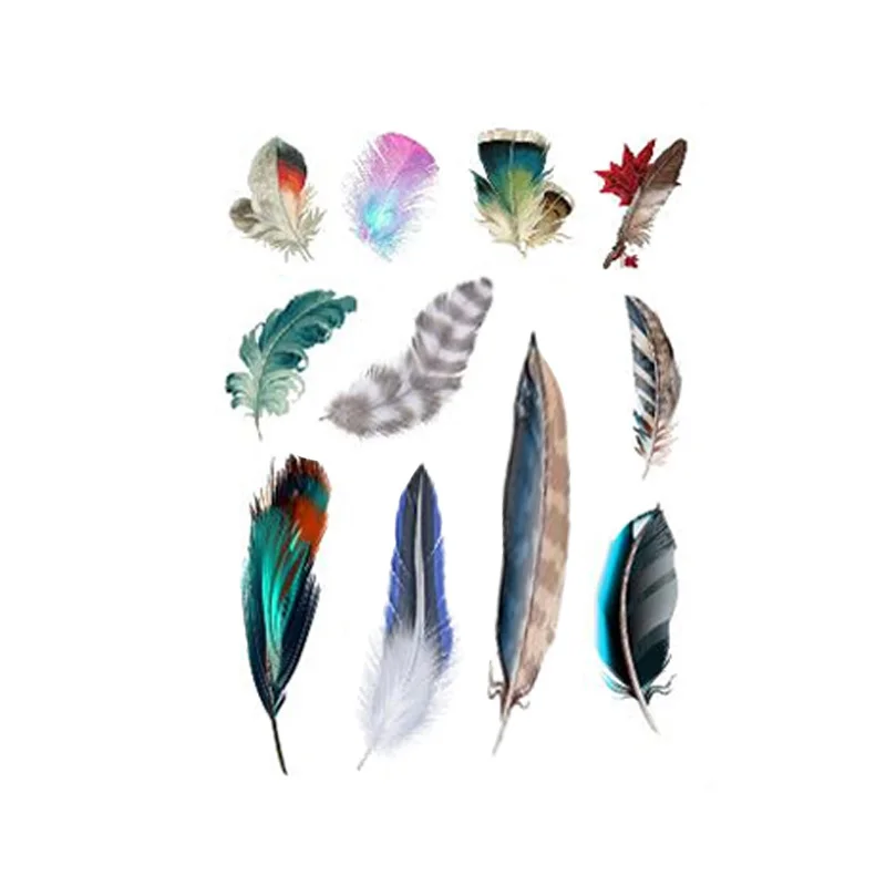 Colorful Feathers Car Stickers Car Stickers Decal Polyethylene Waterproof Creative Decal for Car Laptop Table Reflective
Colorful Feathers Car Stickers Car Stickers Decal Polyethylene Waterproof Creative Decal for Car Laptop Table Reflective