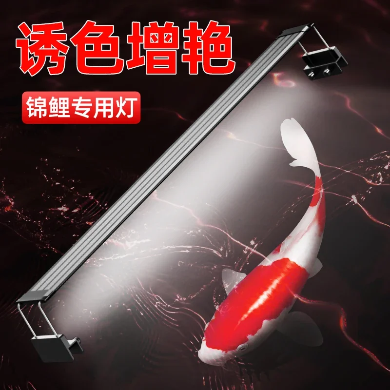 fish tank special ornamental light full spectrum led waterproof color-inducing bracket light aquatic plant aluminum alloy
fish tank special ornamental light full spectrum led waterproof color-inducing bracket light aquatic plant aluminum alloy