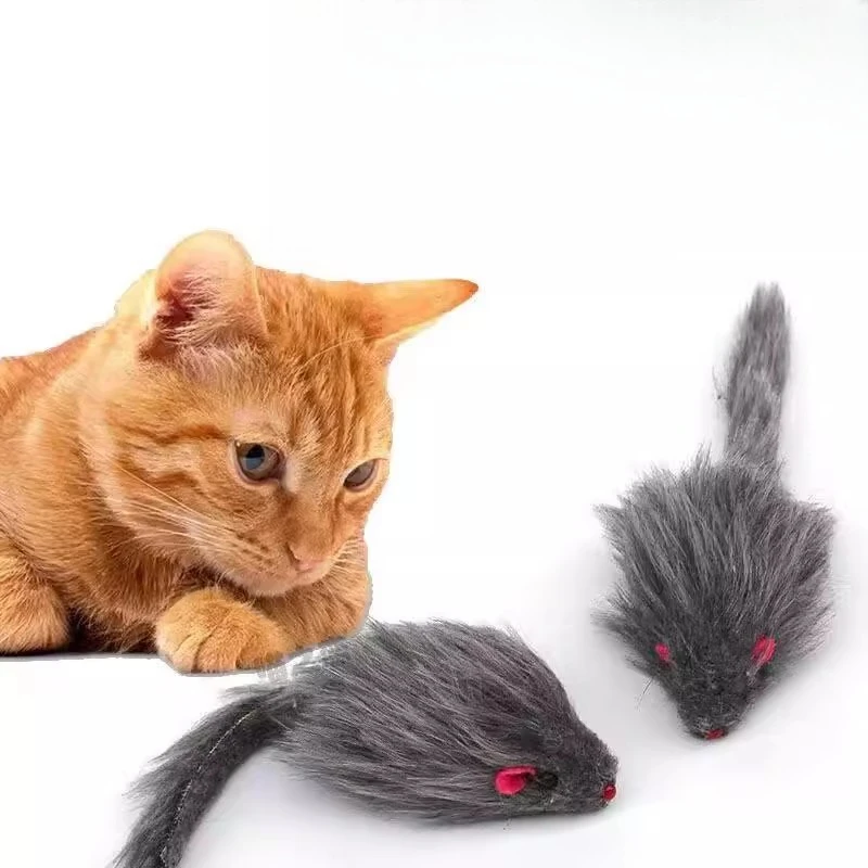 1/2/5PCS Cat Mouse Toys Rattle Mouse Cat Funny Toy Assorted Interactive Cat Toys for Indoor Kitten Cats Catch Play Mouse Toy
1/2/5PCS Cat Mouse Toys Rattle Mouse Cat Funny Toy Assorted Interactive Cat Toys for Indoor Kitten Cats Catch Play Mouse Toy