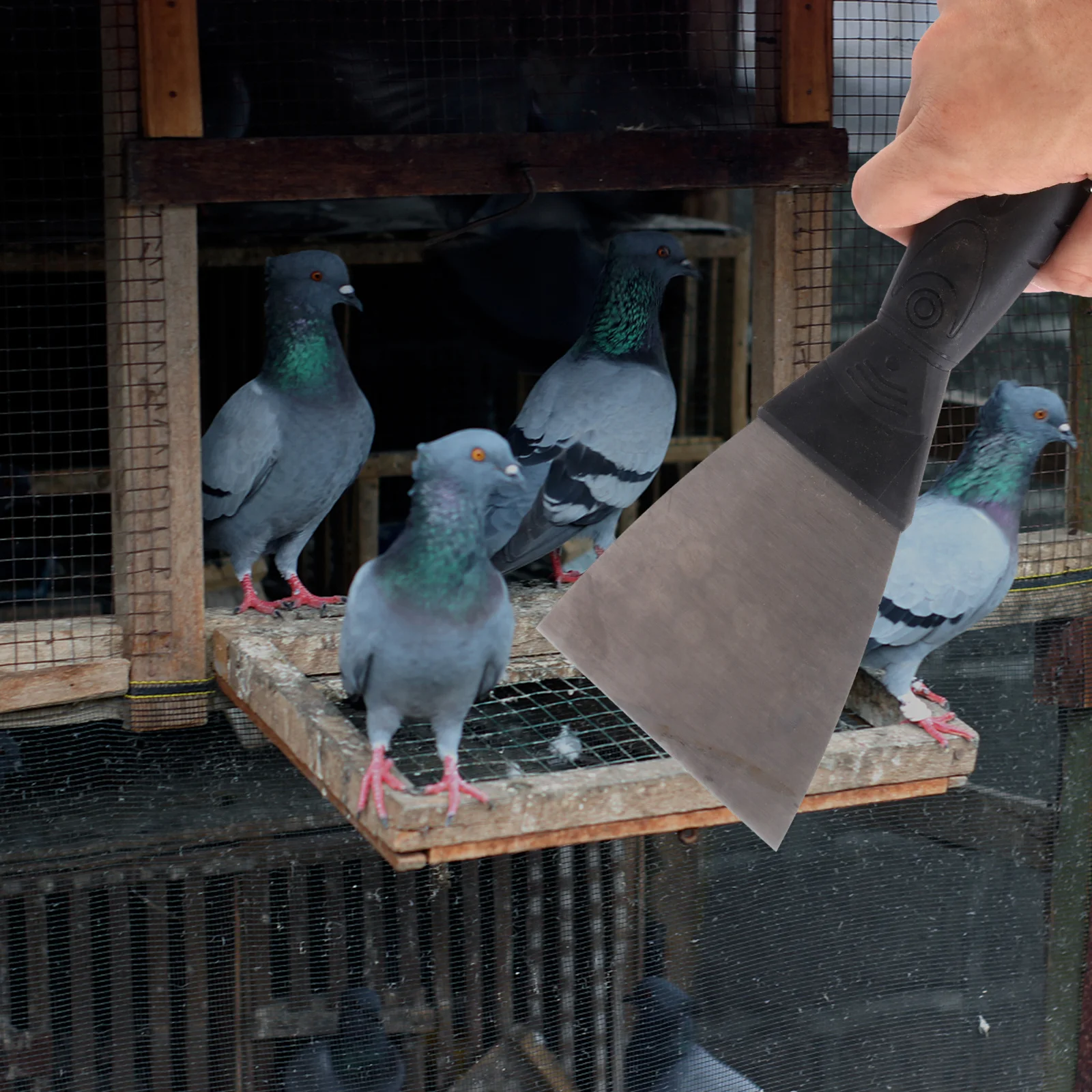 2pcs Bird Poop Shovel Rustproof Cleaning Tool For Parrot Waste Removal Easy Clean Pet Accessories Cleaning Spade Spade
2pcs Bird Poop Shovel Rustproof Cleaning Tool For Parrot Waste Removal Easy Clean Pet Accessories Cleaning Spade Spade