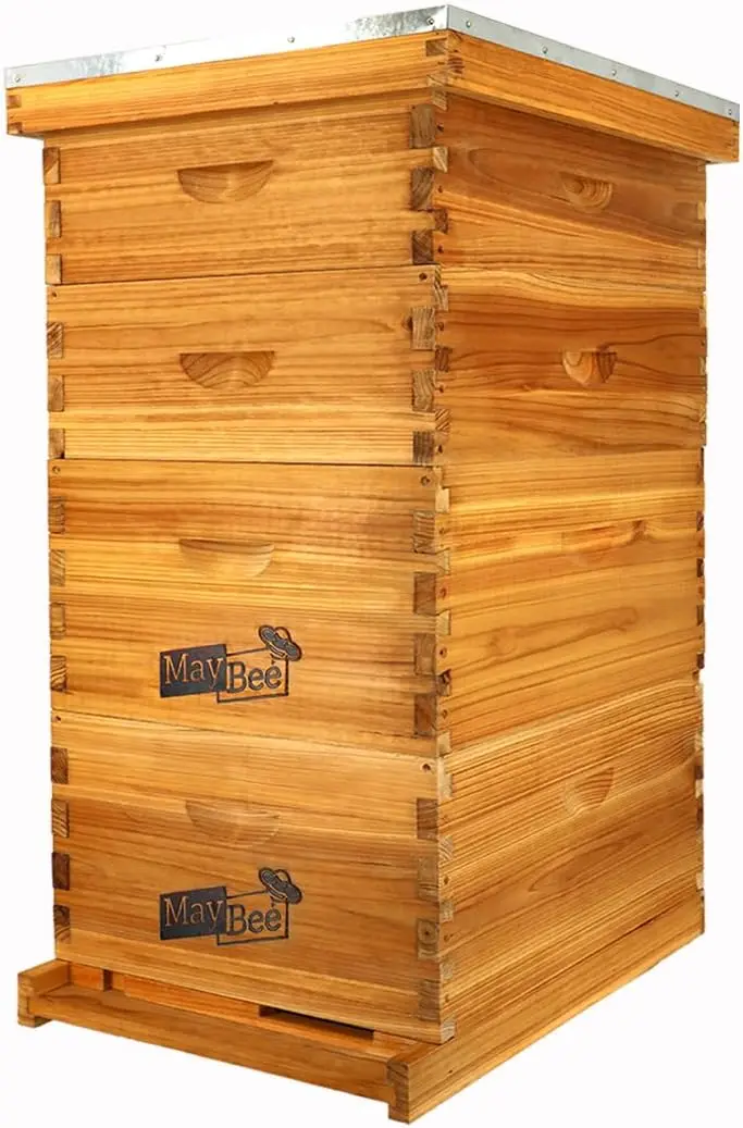 Complete Bee Hives and Supplies Starter Kit Includes 2 Deep Hive Bee Box and 2 Bee Hive Super with Beehive Frames and Foundation
Complete Bee Hives and Supplies Starter Kit Includes 2 Deep Hive Bee Box and 2 Bee Hive Super with Beehive Frames and Foundation