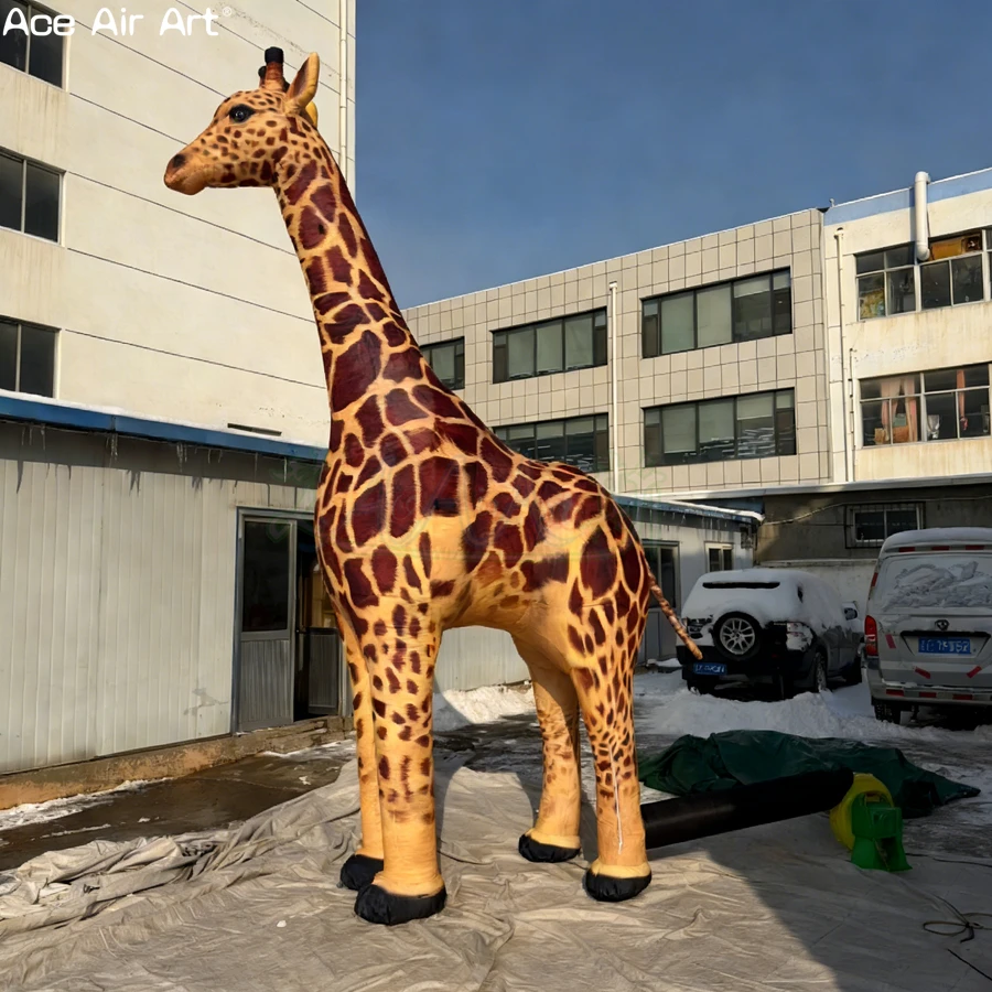 Giant Inflatable Giraffe Replica Realistic Animal Model for Zoo Theme Party & Outdoor Advertising Display Prop
Giant Inflatable Giraffe Replica Realistic Animal Model for Zoo Theme Party & Outdoor Advertising Display Prop
