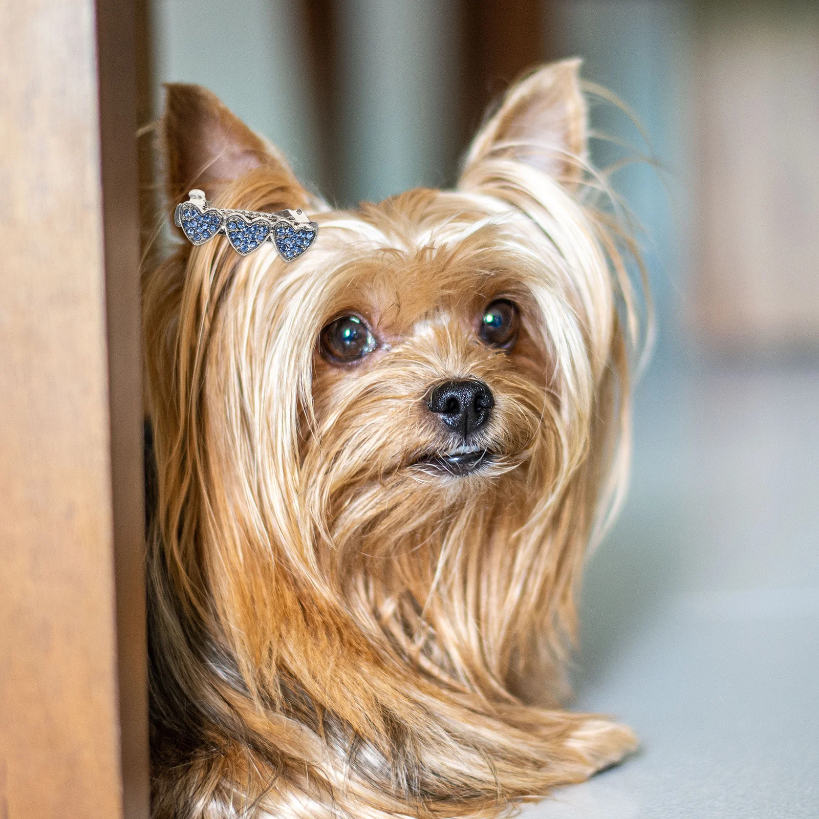 2Pcs Rhinestone Inlaid Heart Dog Hair Clips Small Pet Barrettes Puppy Hair Accessories Lovely Decorative Hairpins
2Pcs Rhinestone Inlaid Heart Dog Hair Clips Small Pet Barrettes Puppy Hair Accessories Lovely Decorative Hairpins