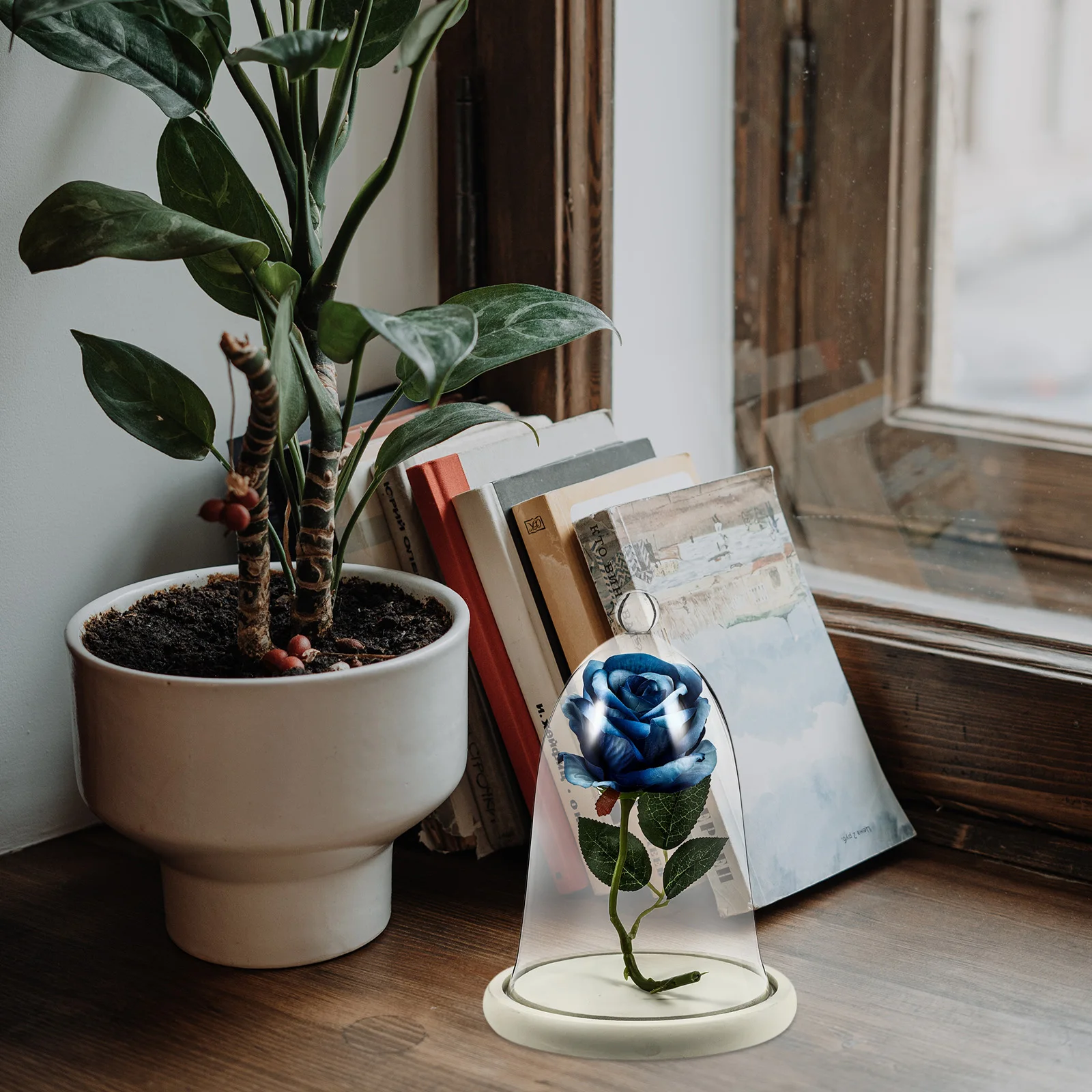 1Set Eternal Flower Glass Dome Preserved Flower Cover Creative Glass Display for Home Desktop Decoration Micro Landscape
1Set Eternal Flower Glass Dome Preserved Flower Cover Creative Glass Display for Home Desktop Decoration Micro Landscape