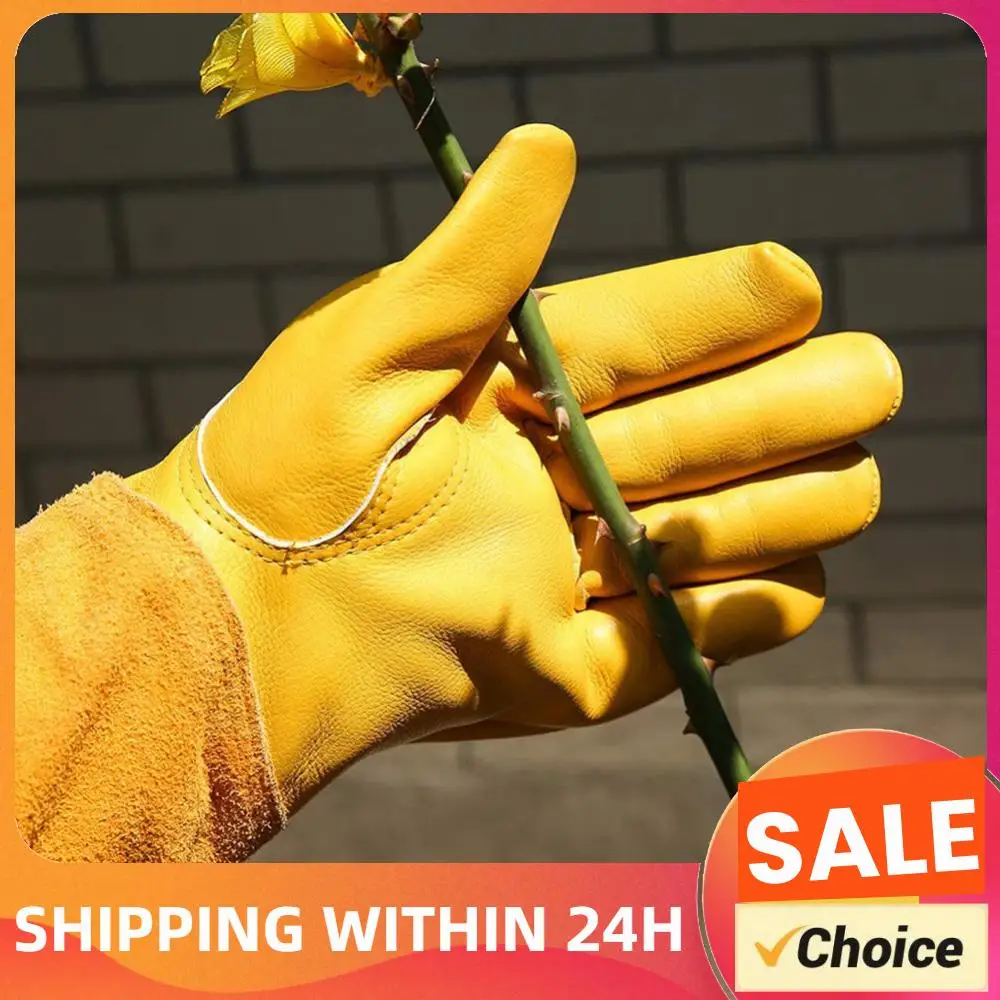 1 Pair Long Thorn Proof Rose Pruning Gloves with Forearm Protection Leather Gardening Gloves Floral Gauntlet Best Garden Gift
1 Pair Long Thorn Proof Rose Pruning Gloves with Forearm Protection Leather Gardening Gloves Floral Gauntlet Best Garden Gift