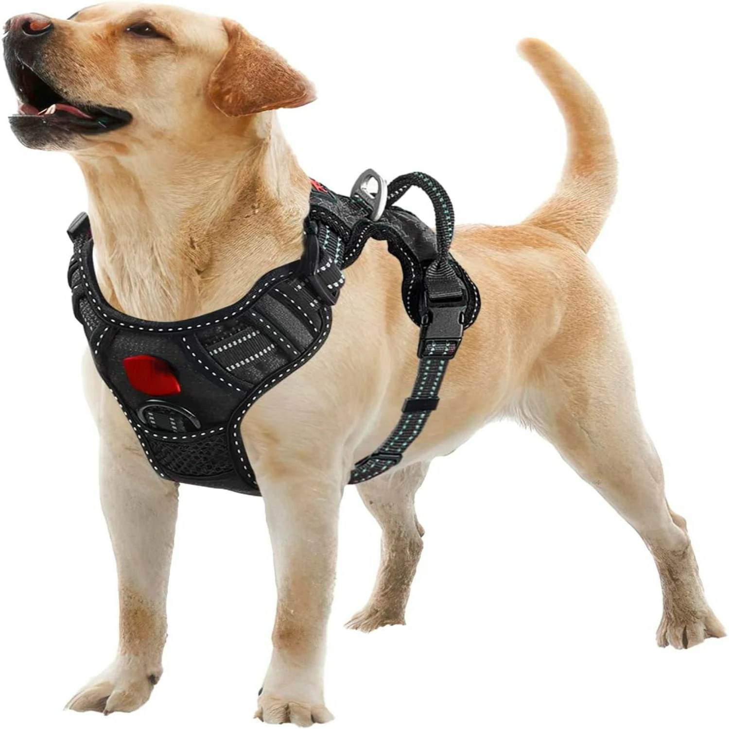 Heavy Duty Anti Pull Reflective Vest Dog Harness with Strong Safety Handle, Easy Walk Front & Back Leash Clips for Small Medium
Heavy Duty Anti Pull Reflective Vest Dog Harness with Strong Safety Handle, Easy Walk Front & Back Leash Clips for Small Medium